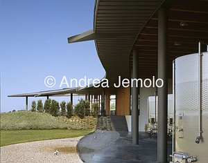 Cantina L'Ammiraglia ditta Frescobaldi  | Andrea Jemolo