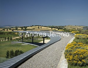 Cantina L'Ammiraglia ditta Frescobaldi  | Andrea Jemolo