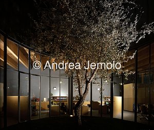 Cantina L'Ammiraglia ditta Frescobaldi  | Andrea Jemolo