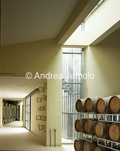 Cantina ditta Badia Coltibuono  | Andrea Jemolo
