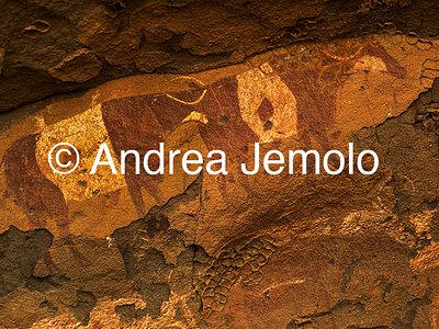  Cave painting depicting animals, Tassili n’Ajjer, Tadart Rouge - Bovidic period | Andrea Jemolo