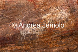  Dipinto rupestre raffigurante animali, Tassili n’Ajjer, Tadart Rouge - Periodo bovidiano | Andrea Jemolo