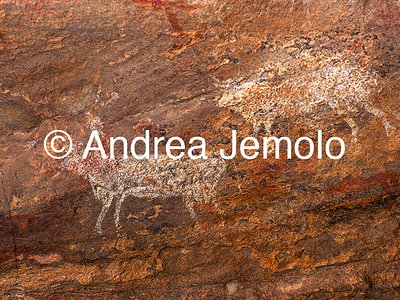  Cave painting depicting animals, Tassili n’Ajjer, Tadart Rouge - Bovidic period | Andrea Jemolo