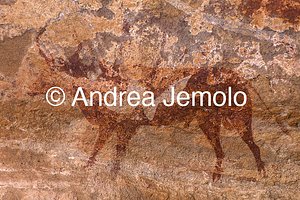  Dipinto rupestre raffigurante animali, Tassili n’Ajjer, Tadart Rouge - Periodo bovidiano | Andrea Jemolo