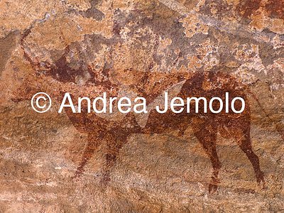  Cave painting depicting animals, Tassili n’Ajjer, Tadart Rouge - Bovidic period | Andrea Jemolo