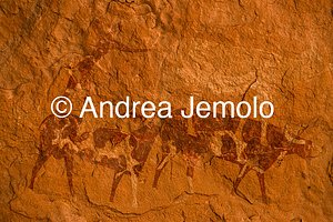  Dipinto rupestre raffigurante animali, Tassili n’Ajjer, Tadart Rouge - Periodo bovidiano | Andrea Jemolo