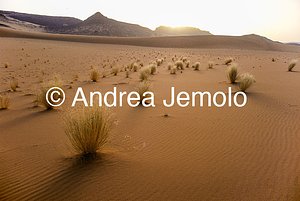  Tamerici, Tassili n’Ajjer, Tadrart Acacus | Andrea Jemolo