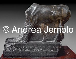 Museo Egizio Toro-Api, Bronzo, Serapeum di Saqqara | Andrea Jemolo