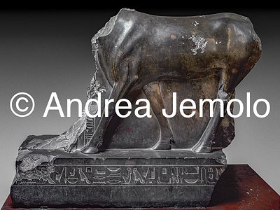 Egyptian museum Ox-Api, Bronze, Serapeum in Saqqara | Andrea Jemolo