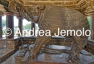 Tempio Varaha Varaha, il cinghiale e i resti della Decasse Prthviet e del serpente Sesa | Andrea Jemolo