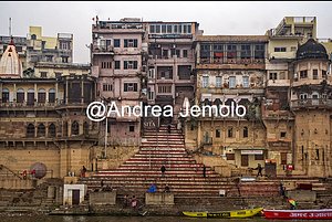   | Andrea Jemolo