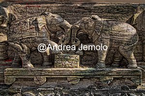 Tempio Jagdish Scultura di elefanti del Tempio Jagdish | Andrea Jemolo