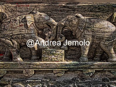 Jagdish Temple Carvings of elephant in the Jagdish Temple | Andrea Jemolo