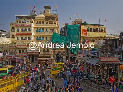   | Andrea Jemolo