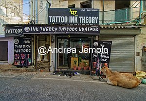 Vacca Sacra  | Andrea Jemolo