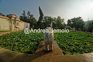 Saheliyon-ki-Bari  | Andrea Jemolo