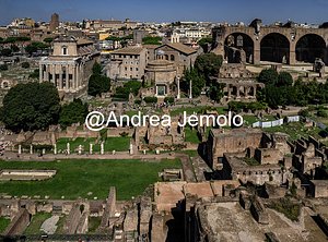 Foro romano Vista dall'alto del Foro Romano | Andrea Jemolo