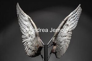 Museo Palatino o Antiquarium Ali Marmoree, I secolo a.C. - I secolo D.C. | Andrea Jemolo