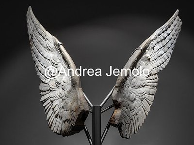 Museo Palatino o Antiquarium Ali Marmoree, I secolo a.C. - I secolo D.C. | Andrea Jemolo