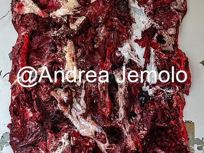 Anish Kapoor Foundation - Palazzo Priuli Manfrin Internal Objects in Three Parts | Andrea Jemolo