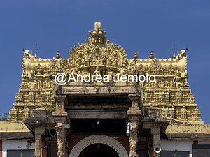 Sree Padmanabhaswamy Temple  | Andrea Jemolo