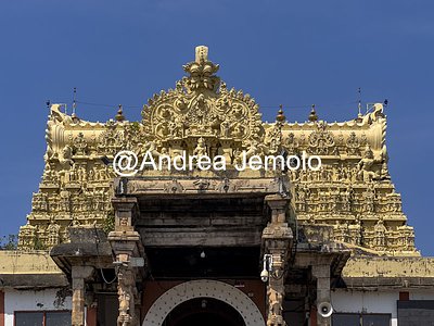 Sree Padmanabhaswamy Temple  | Andrea Jemolo