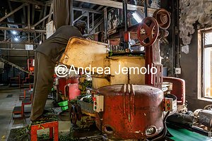 Tea factory Worker at the tea factory | Andrea Jemolo