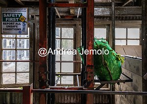 Tea factory Bags of tea ready for different processing | Andrea Jemolo