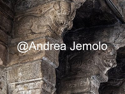 Ranganathaswamy Temple The Garuda Mandapa in Ranganathaswamy temple - Carved granite capitals | Andrea Jemolo