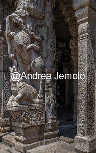 Ranganathaswamy Temple Ali and elephant sculptures in Rangavilas mandapa in the temple of Ranganathaswamy | Andrea Jemolo