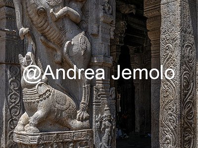 Ranganathaswamy Temple Ali and elephant sculptures in Rangavilas mandapa in the temple of Ranganathaswamy | Andrea Jemolo