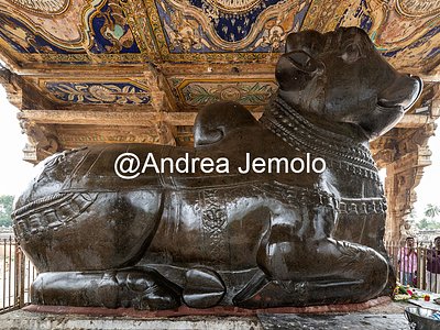 Brihadishvara Temple Colossal statue of Nandi in Nandi Mandapam (Pavilion) of the Brihadeshwara temple | Andrea Jemolo