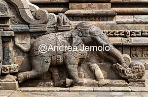 Airavatesvara Temple Elephant next to the stairs for agra-mandapa. View from south | Andrea Jemolo
