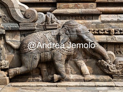 Airavatesvara Temple Elephant next to the stairs for agra-mandapa. View from south | Andrea Jemolo