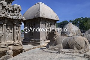 Pancha Rathas also known as Five Rathas or Pandava Rathas Sculpture of a bull in front of the Draupadi Ratha and Arjuna Ratha | Andrea Jemolo