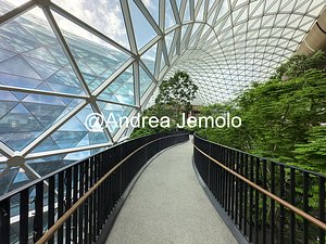 Hamad International Airport Hamad International Airport | Andrea Jemolo