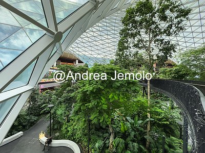 Hamad International Airport Hamad International Airport | Andrea Jemolo