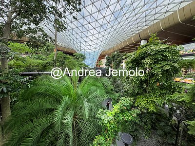 Hamad International Airport Hamad International Airport | Andrea Jemolo