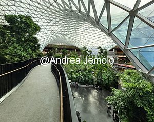 Hamad International Airport Hamad International Airport | Andrea Jemolo