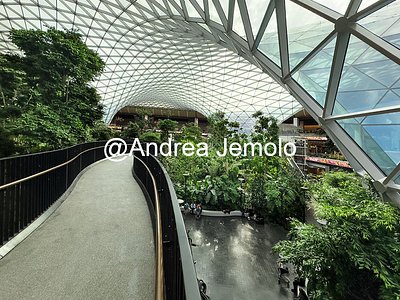 Hamad International Airport Hamad International Airport | Andrea Jemolo