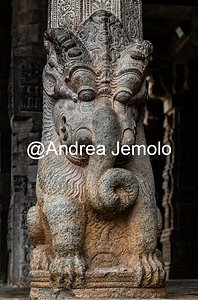 Airavatesvara Temple Yali pillar. Part lion and part elephant | Andrea Jemolo