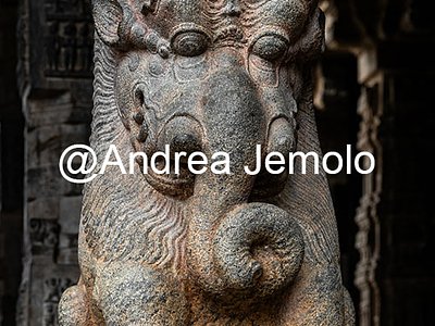 Airavatesvara Temple Yali pillar. Part lion and part elephant | Andrea Jemolo