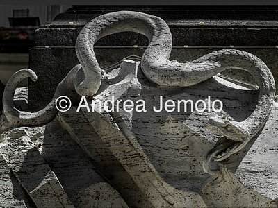Fontana dei Fiumi Il serpente | Andrea Jemolo