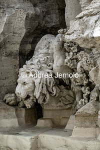 Fountain of the Four Rivers The lion | Andrea Jemolo