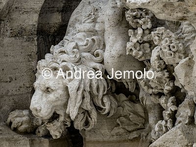 Fontana dei Fiumi Il leone | Andrea Jemolo
