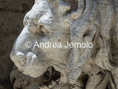 Fontana dei Fiumi Il leone | Andrea Jemolo