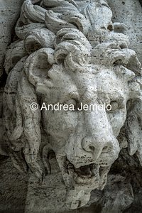 Fountain of the Four Rivers The lion | Andrea Jemolo