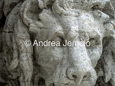 Fontana dei Fiumi Il leone | Andrea Jemolo