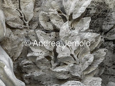 Fontana dei Fiumi Rappresentazione in marmo della vegetazione | Andrea Jemolo