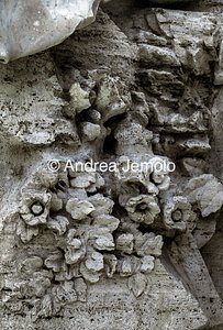 Fountain of the Four Rivers Marble representation of vegetation | Andrea Jemolo